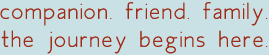 companion. friend. family. the journey begins here.